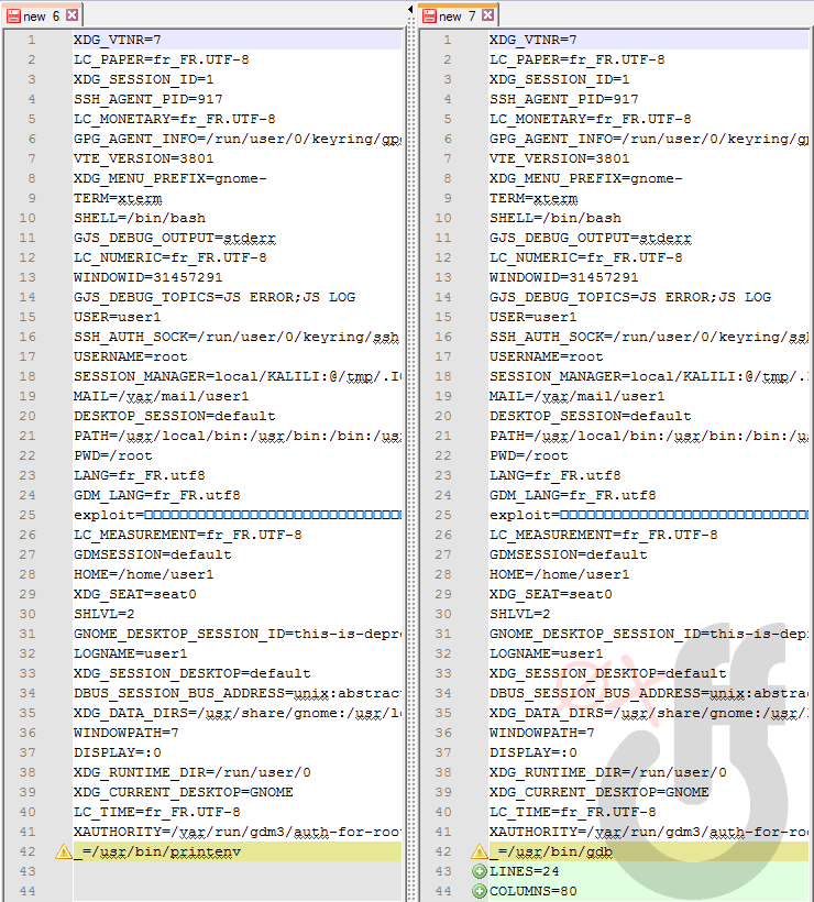 printenv-vs-gdb-env